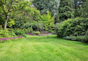 Optimiser l'expérience du jardin à Capvern